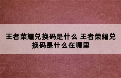 王者荣耀兑换码是什么 王者荣耀兑换码是什么在哪里